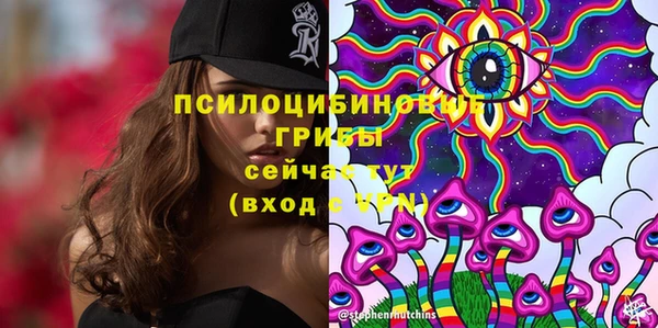 мяу мяу кристалл Алексин